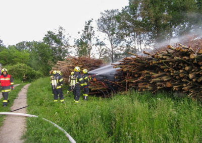 Brand-Holzhaufens-Weidet (2)